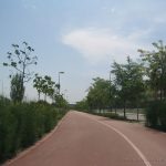 Yendo hacia Canillejas y Parque Juan Carlos I