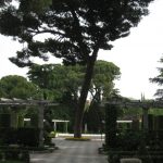 Jardines de Cecilio Rodríguez