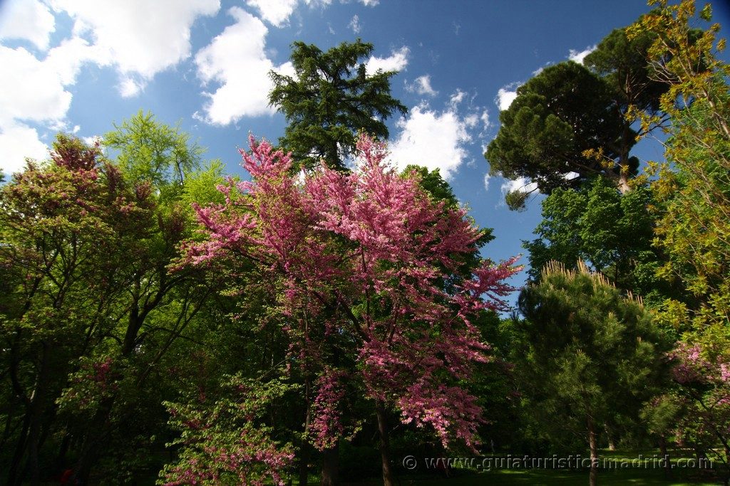 Parque El Capricho