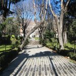 Jardin del Palacio de Buenavista