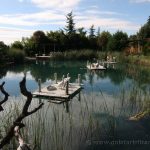 Estanque de pelícanos