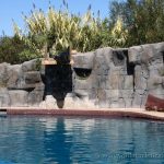 Exhibición de mamíferos marinos