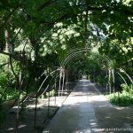 Interior del Jardín Botánico