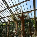 Invernadero de especies desérticas