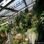 Invernadero de especies tropicales