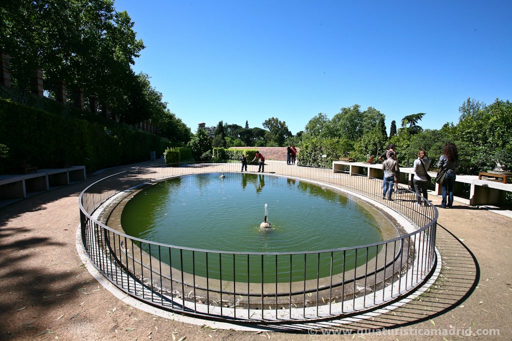 Terraza de los Laureles y exposición de bonsais