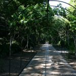 Interior del Jardín Botánico