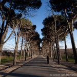 Parque y Jardines de la casita del Príncipe