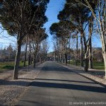 Parque y Jardines de la casita del Príncipe