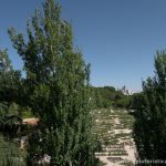 Rosaleda del Parque del Oeste